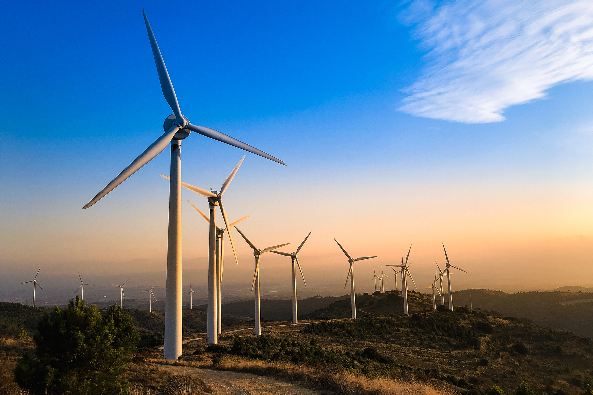 Wind Turbine Solar System 1kw  - Renewable Energy Wind Solar avaliação e preço
